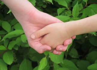 “성과를 보여야 하는 사회단체의 고민”