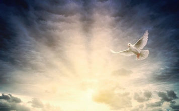 7월 넷째 주 찬송/8월 첫째 주 찬송