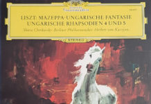 19세기를 뒤흔든 음악가 리스트