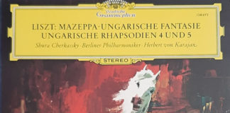 19세기를 뒤흔든 음악가 리스트