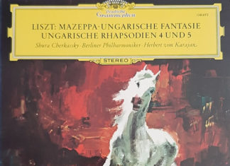 19세기를 뒤흔든 음악가 리스트