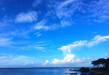 6월 넷째 주 찬송/7월 첫째 주 찬송