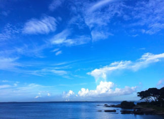 6월 넷째 주 찬송/7월 첫째 주 찬송