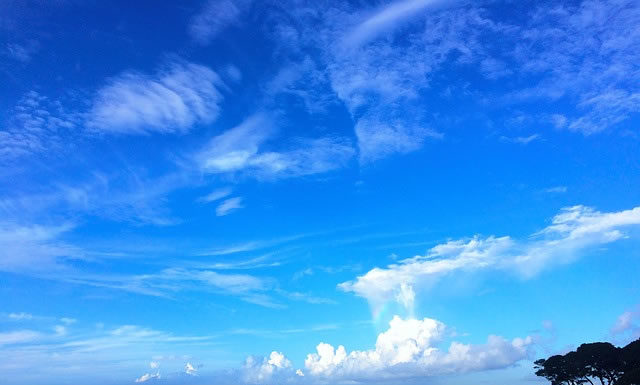 6월 넷째 주 찬송/7월 첫째 주 찬송