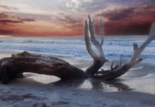 “죽었으나 살아있는 서머나 교회이야기”