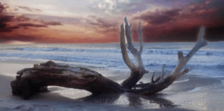 “죽었으나 살아있는 서머나 교회이야기”