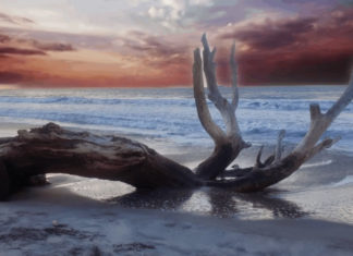 “죽었으나 살아있는 서머나 교회이야기”