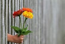 8월 넷째 주 찬송/50장(통71장) 내게 있는 모든 것을