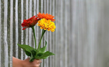 8월 넷째 주 찬송/50장(통71장) 내게 있는 모든 것을