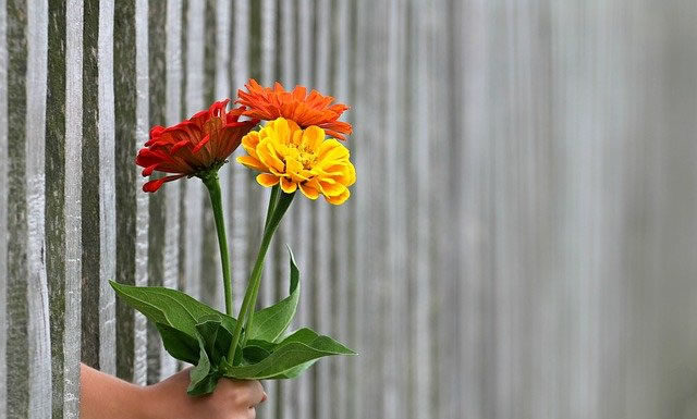 8월 넷째 주 찬송/50장(통71장) 내게 있는 모든 것을