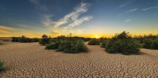‘열’ 받는 지구