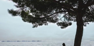 나의 살던 고향은