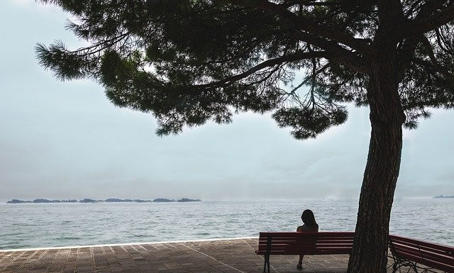 나의 살던 고향은