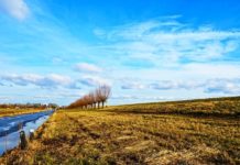 종교적 특성을 띠고 있는 북한사회