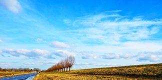 종교적 특성을 띠고 있는 북한사회