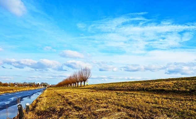 종교적 특성을 띠고 있는 북한사회