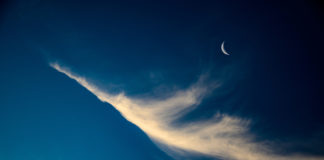 해가 넘어간다, 아듀 신축년