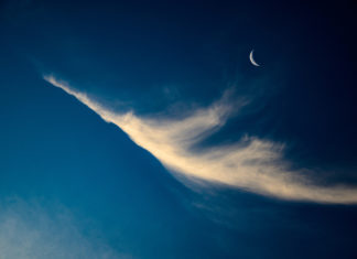 해가 넘어간다, 아듀 신축년