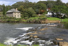 2021년 뉴질랜드 한인 교계 총정리-함께 울며 손을 내밀어 돕는 그리스도인이 되기를