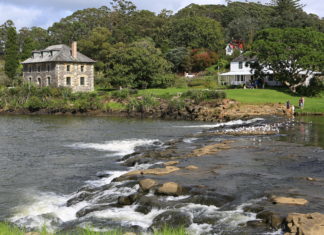 2021년 뉴질랜드 한인 교계 총정리-함께 울며 손을 내밀어 돕는 그리스도인이 되기를