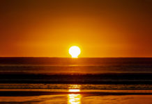 황홀한 오메가를 그리며 범띠의 해가 밝았습니다.