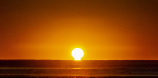 황홀한 오메가를 그리며 범띠의 해가 밝았습니다.