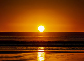 황홀한 오메가를 그리며 범띠의 해가 밝았습니다.