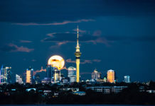 ‘오클랜드의 정월 대보름’