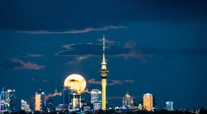 ‘오클랜드의 정월 대보름’