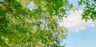 M28 리더 수련회