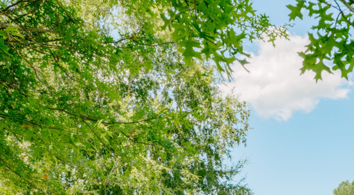 M28 리더 수련회