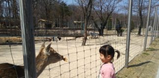 나이가 어리다고 감정도 어리지 않다