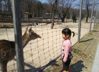 나이가 어리다고 감정도 어리지 않다
