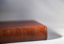 코로나 팬데믹에 장자(壯子)를 만나다