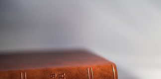 코로나 팬데믹에 장자(壯子)를 만나다