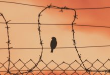 주체사상과 민중신학의‘구원관’에 대한 모순