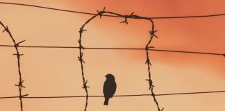 주체사상과 민중신학의‘구원관’에 대한 모순