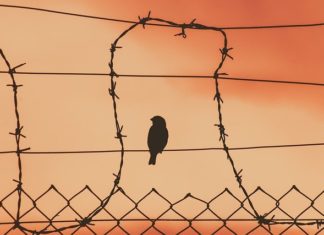 주체사상과 민중신학의‘구원관’에 대한 모순