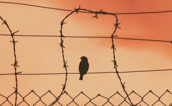 주체사상과 민중신학의‘구원관’에 대한 모순