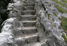 세상의 길이 아니라 그분의 길을