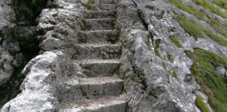 세상의 길이 아니라 그분의 길을