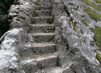 세상의 길이 아니라 그분의 길을