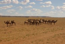 “광야를 지나며”