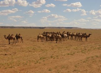“광야를 지나며”