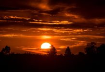 1월 다섯째 주 찬송/2월 첫째 주 찬송