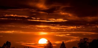 1월 다섯째 주 찬송/2월 첫째 주 찬송