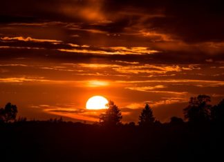 1월 다섯째 주 찬송/2월 첫째 주 찬송