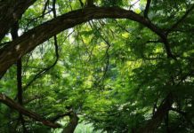 하나님은 ‘스스로 존재’ 하시는 분