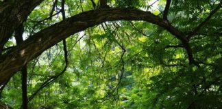 하나님은 ‘스스로 존재’ 하시는 분