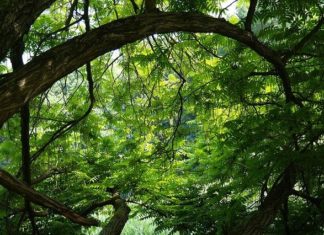 하나님은 ‘스스로 존재’ 하시는 분